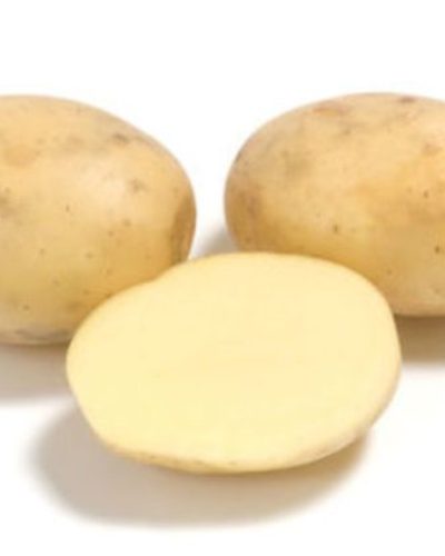 Купить картофель в Брянске
