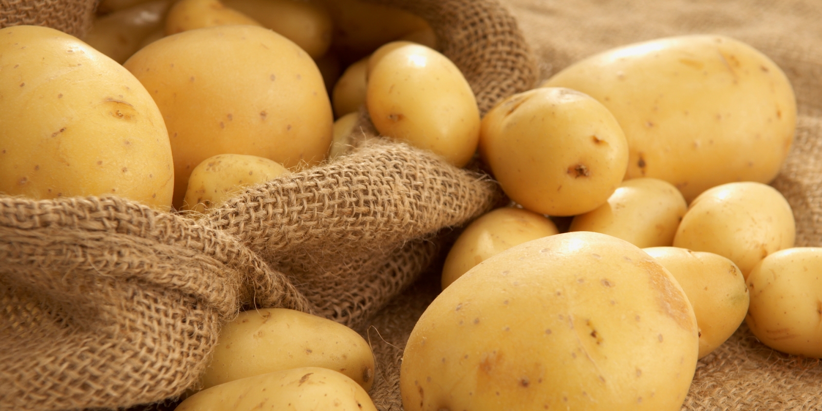 Столовый картофель — продукция ИП Иванова А.А.