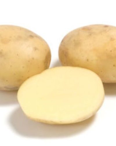 Картофель Коломба